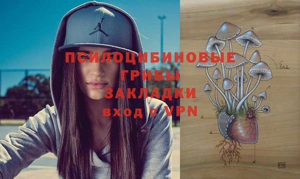 экстази Арсеньев