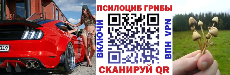 Галлюциногенные грибы MAGIC MUSHROOMS  Сясьстрой 